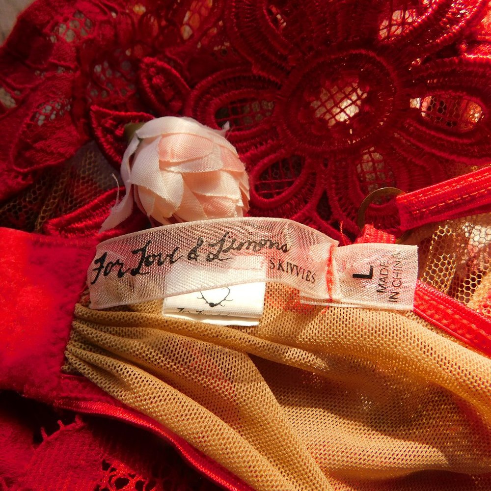 Fll "Ruby" Red Underwire Bra - image 3